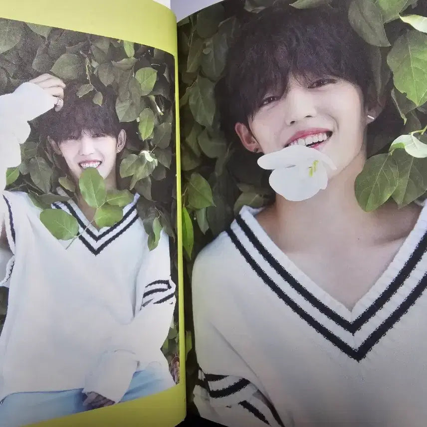 세븐틴 박수 teen,age 앨범 +에스쿱스 4종  포토카드 박화쿱 포함