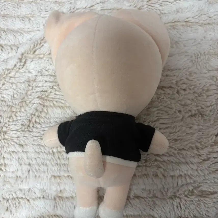 스키주 폭시니 오리지널 인형 2.3