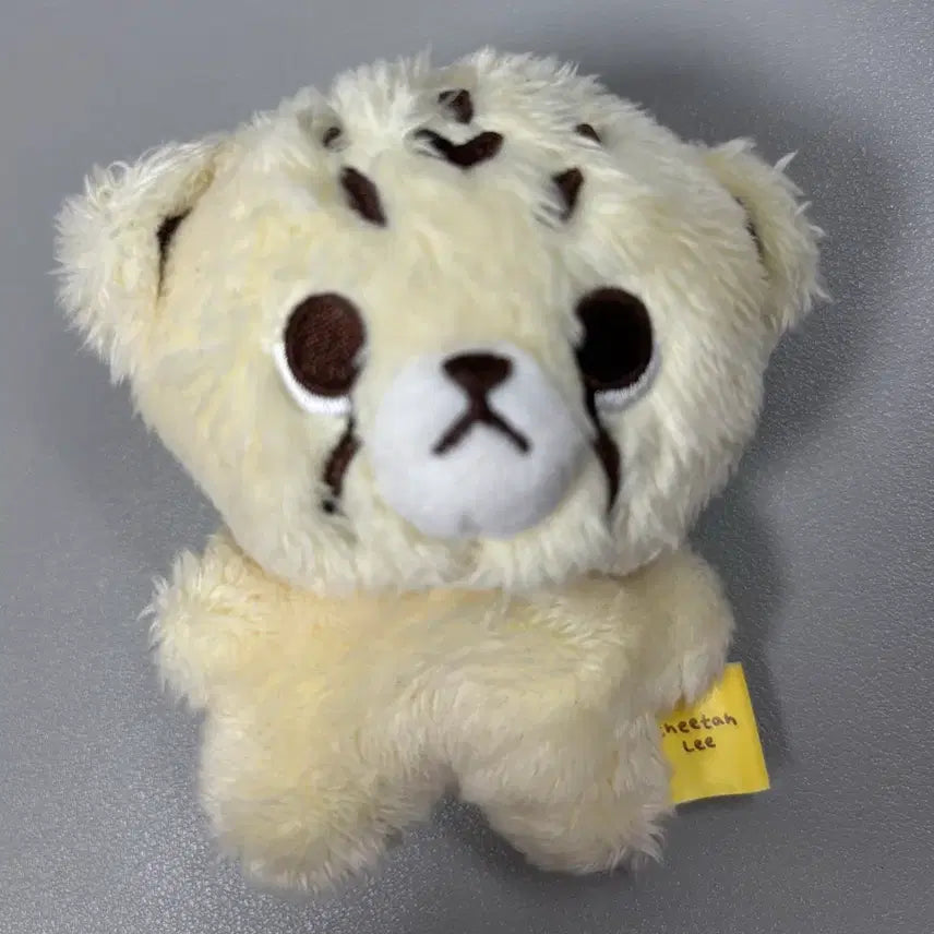 엔시티 드림 127 마크 치타리 10cm 인형 양도 판매