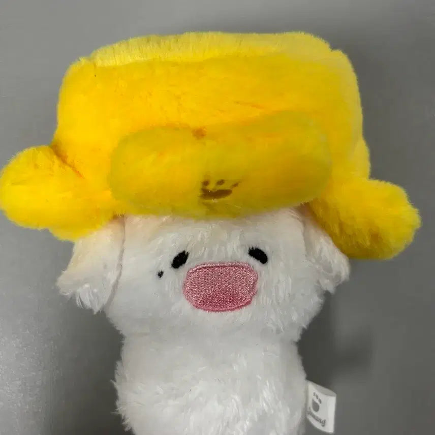 엔시티 드림 제노 jeno 8cm 인형 젠멍이 양도 판매