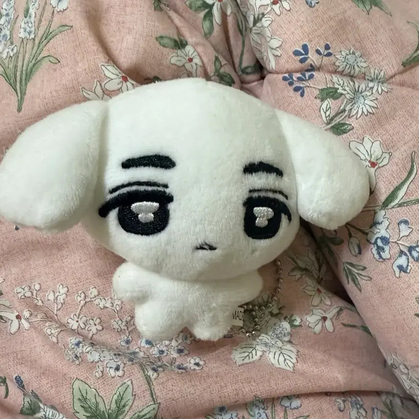 보이넥스트도어 보넥도 이한이 한몽이 판매