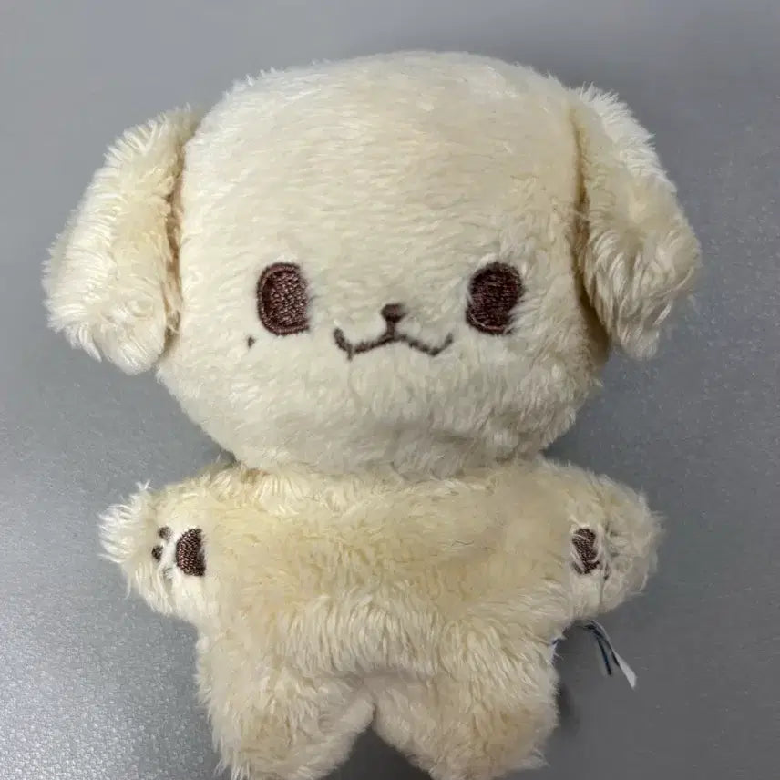 엔시티 드림 제노 jeno 10cm 인형 콩쩬 양도 판매