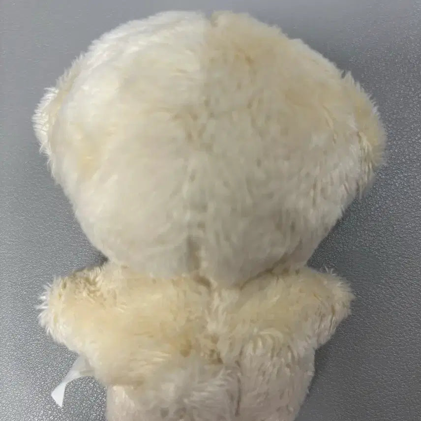 엔시티 드림 제노 jeno 10cm 인형 콩쩬 양도 판매