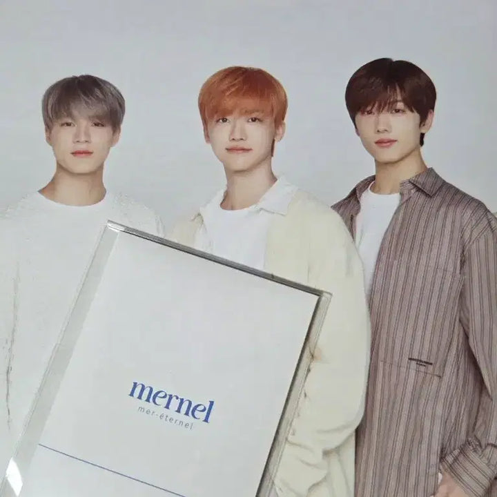 엔시티드림 메르넬 포토카드 포카 포스터 일괄