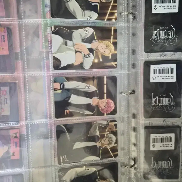 플레이브 바시티포카 일괄 빅포카포함