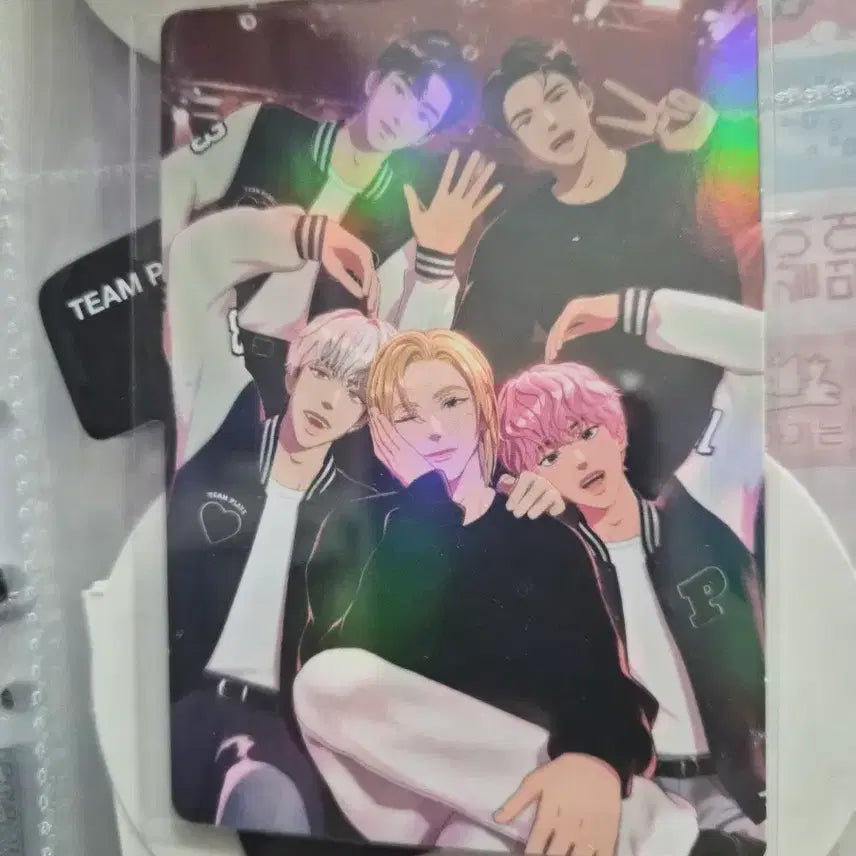 플레이브 바시티포카 일괄 빅포카포함