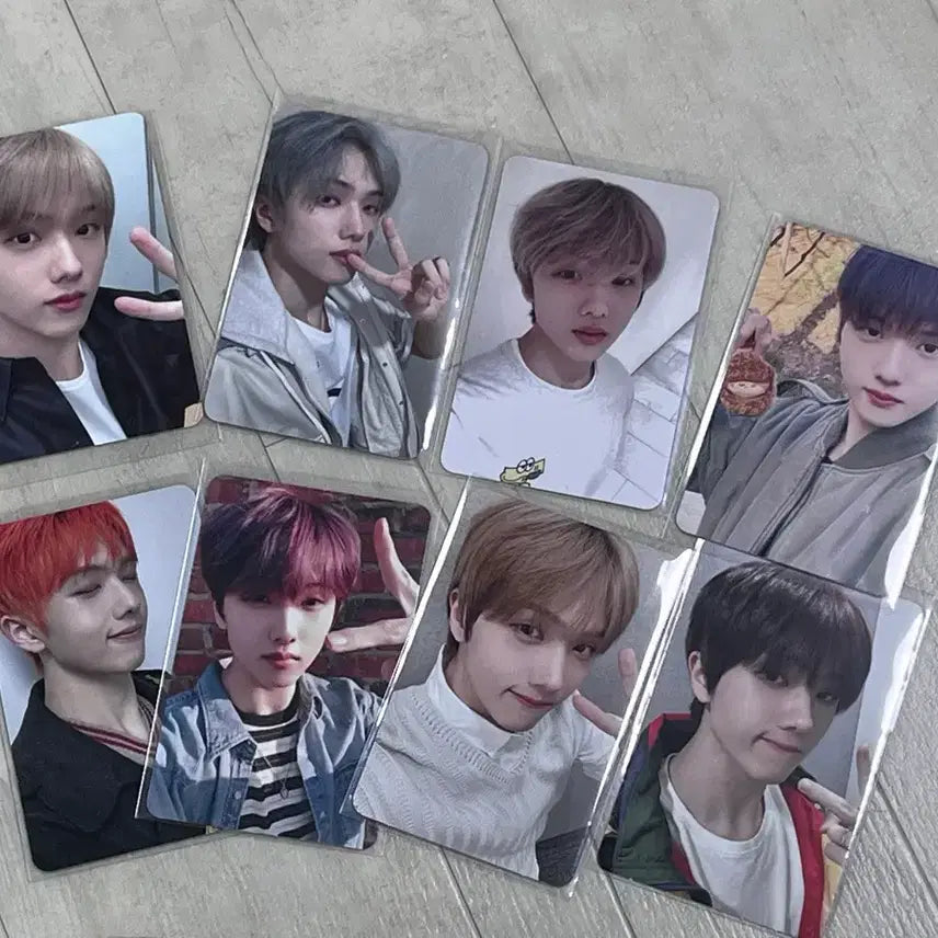 지성 포카 일괄