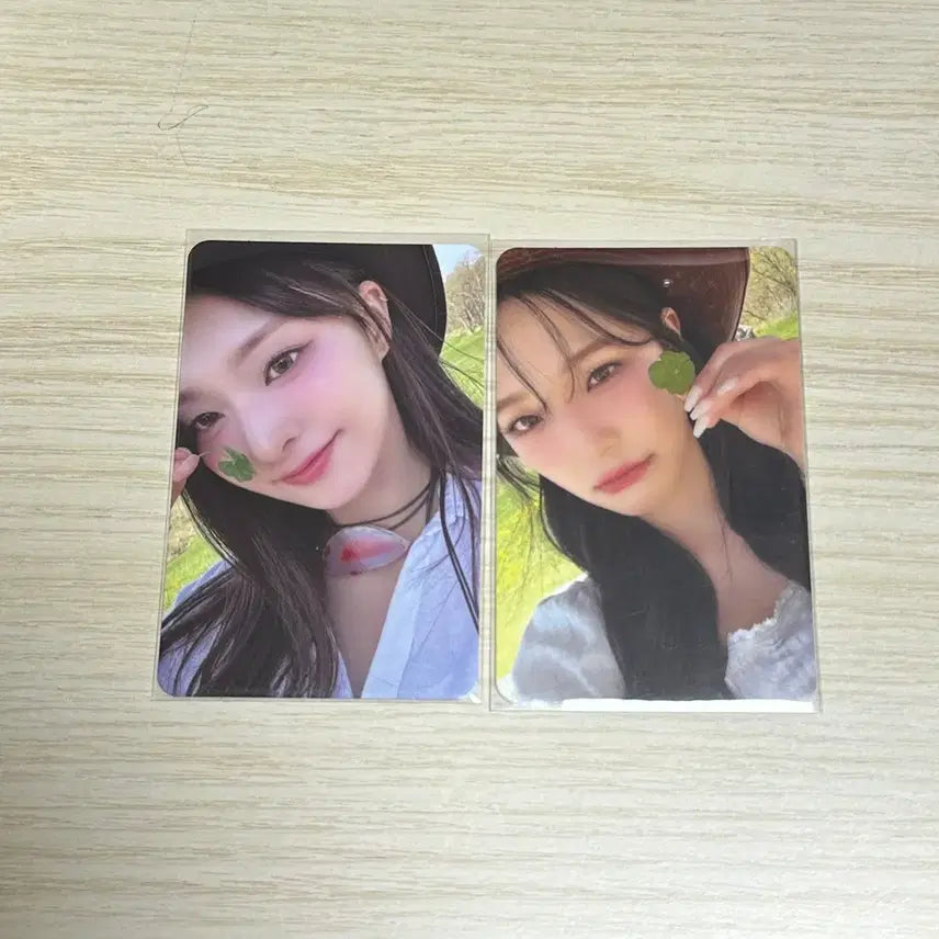 나경 포카 결제창