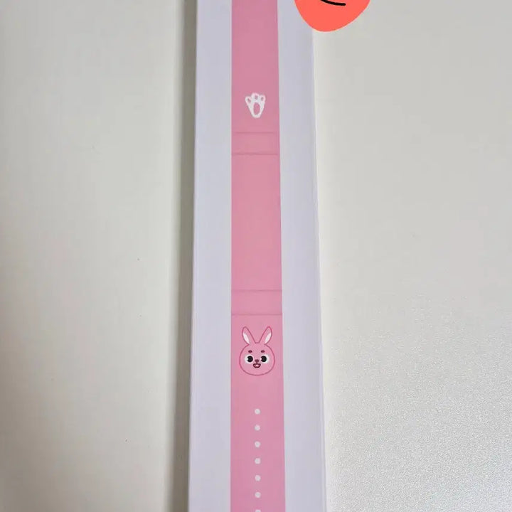 [BUNJANG] DAY6 Demeril Phil Strap / 데이식스 데멀필 스트랩 판매