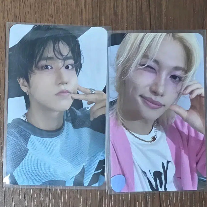 celebrATE 온라인 엠디 리얼터치 포카 한