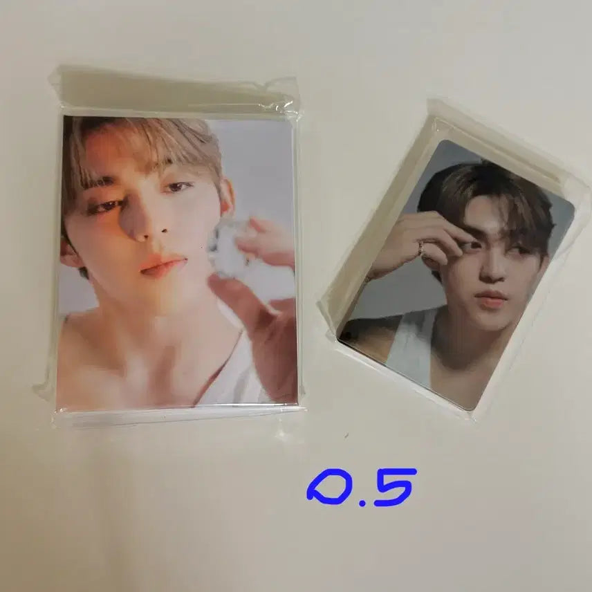 세븐틴 에스쿱스 최승철 17 right here 캐럿반 양도