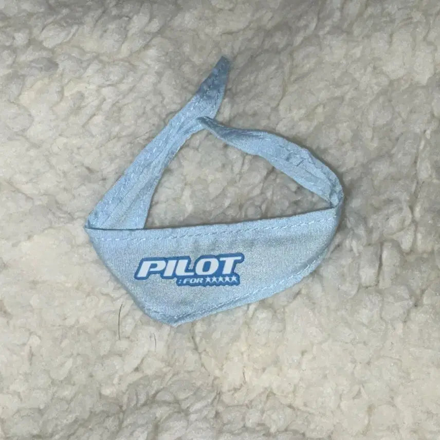 스트레이키즈 스키주 10cm 누이 인형 콩키주 파일럿 옷