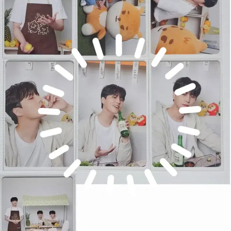 데이식스 이오데 트레카 영케이 포카 7장