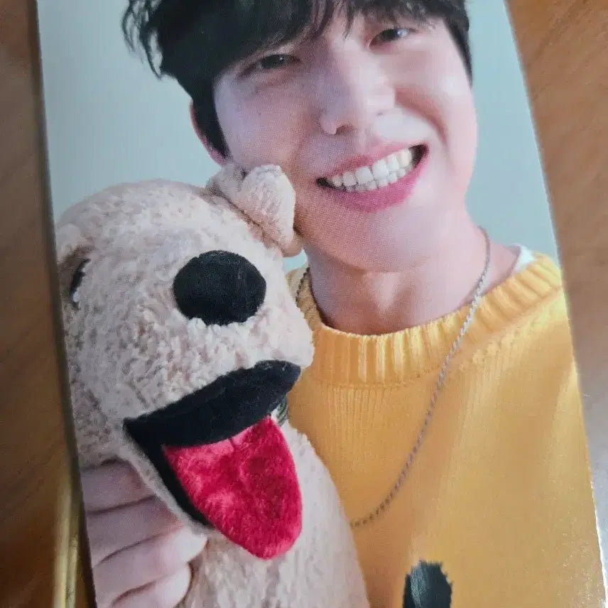 데이식스 2026 시그 특전포카 도운