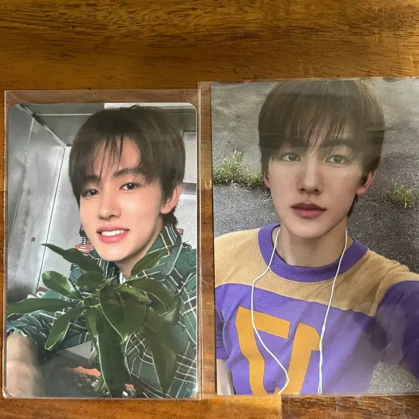 코르티스 성현 시그포카 양도