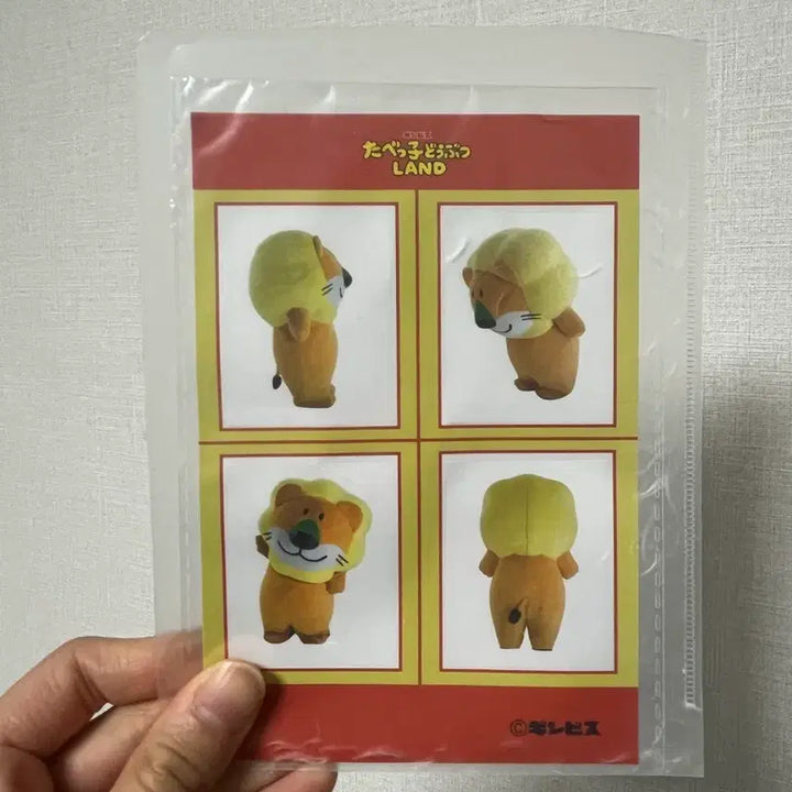 [SOLD OUT] 타베코도부츠 사자 인생네컷 스티커