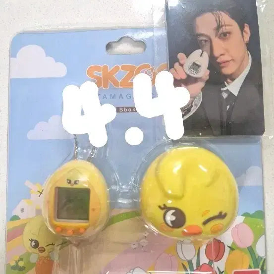 포카포함) 스키주 뽁아리 다마고치 양도