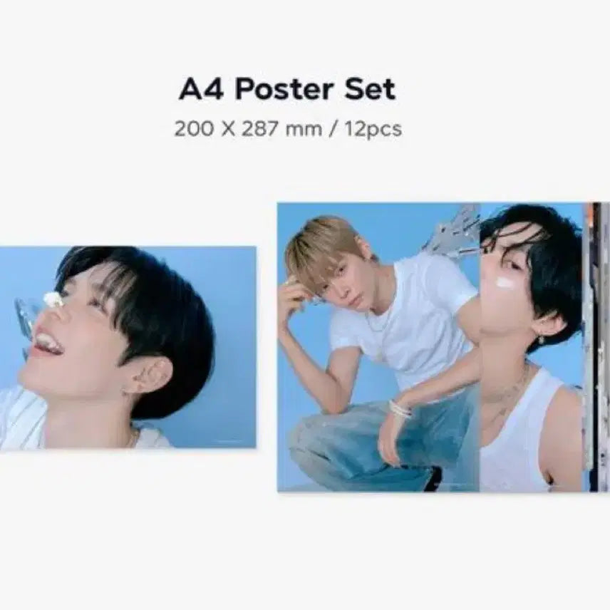 라이즈 2026 시그 시즌그리팅 은석 분철