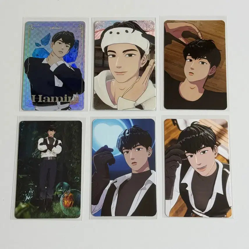 플레이브 하민 포카 일괄