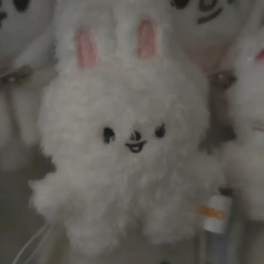 스키주 리빗 마이크로 키링 양도