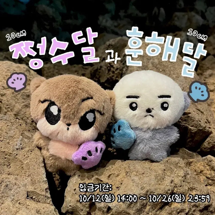 엔하이픈 정원 인형 쩡달이 양도