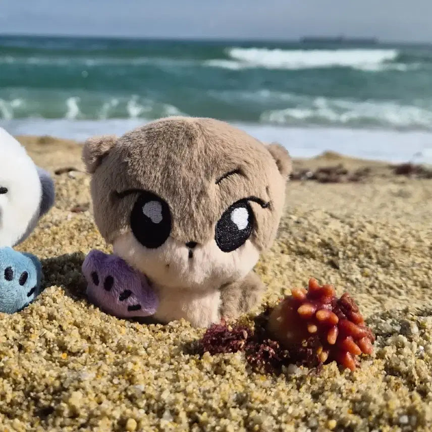 엔하이픈 정원 인형 쩡달이 양도