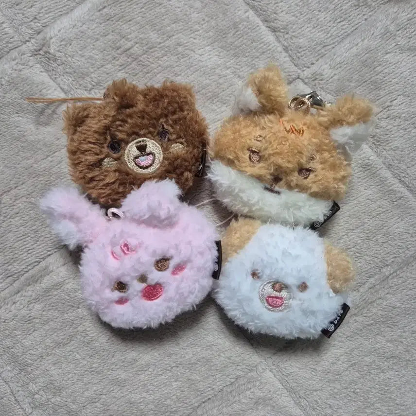 데이식스 미니 페이스키링 쁘띠멀즈 방케필돈 일괄