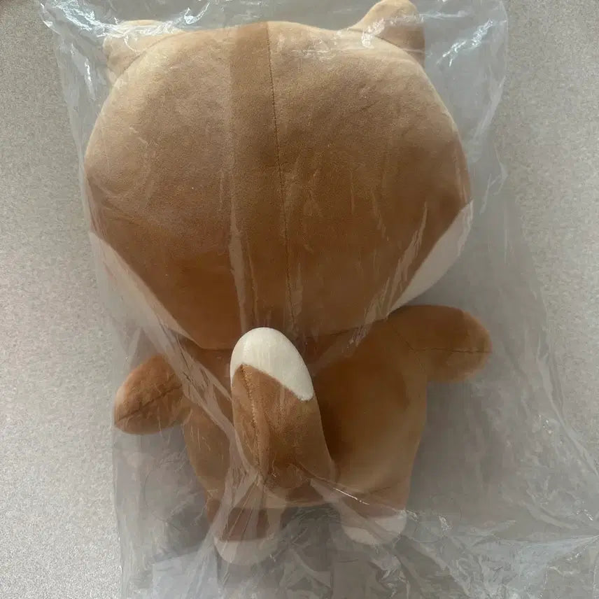 데이식스 자이언트 데니멀즈 케