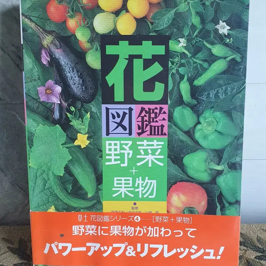 [BUNJANG] Japanese Cookbook Set / 식자재도감 야채 과일도감 채소레시피 외 여러권(일본원서)