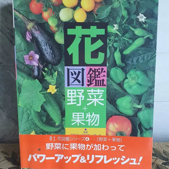 [BUNJANG] Japanese Cookbook Set / 식자재도감 야채 과일도감 채소레시피 외 여러권(일본원서)
