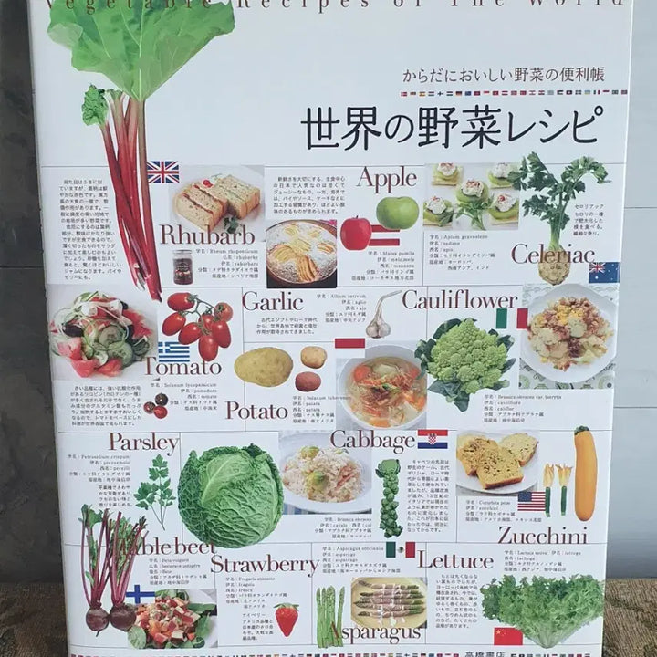[BUNJANG] Japanese Cookbook Set / 식자재도감 야채 과일도감 채소레시피 외 여러권(일본원서)