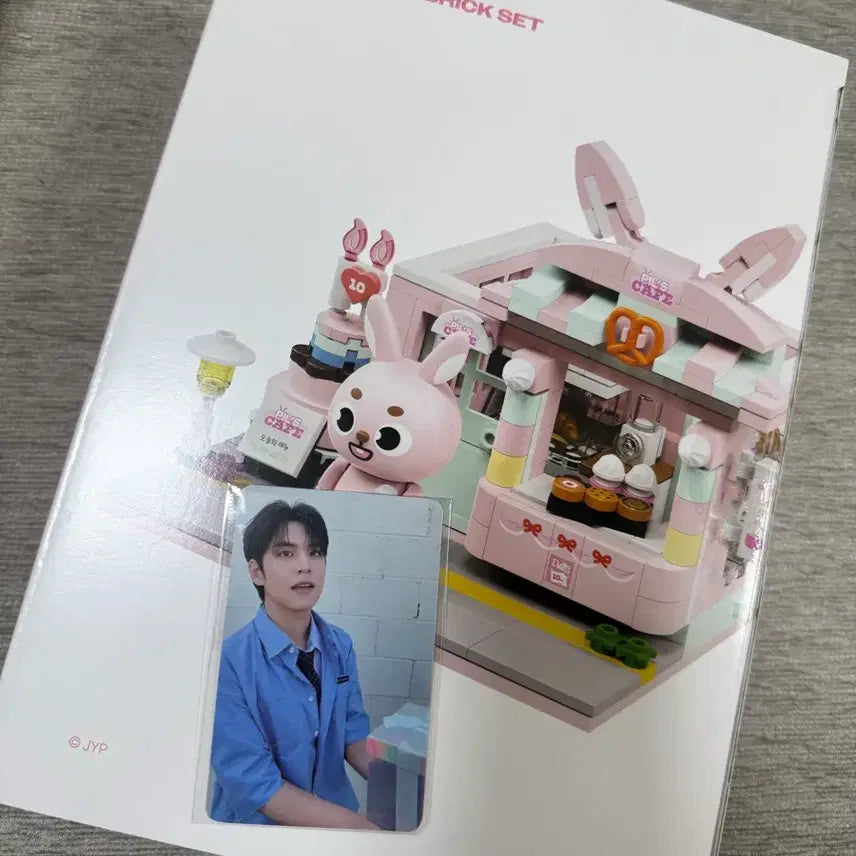 데이식스 데니멀즈 브릭세트 필