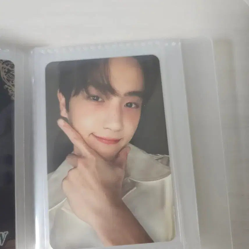 더보이즈 현재 넥타 포카