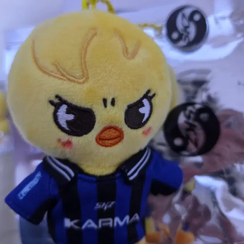 스키즈 카르마 뽁아리 인형 앨범