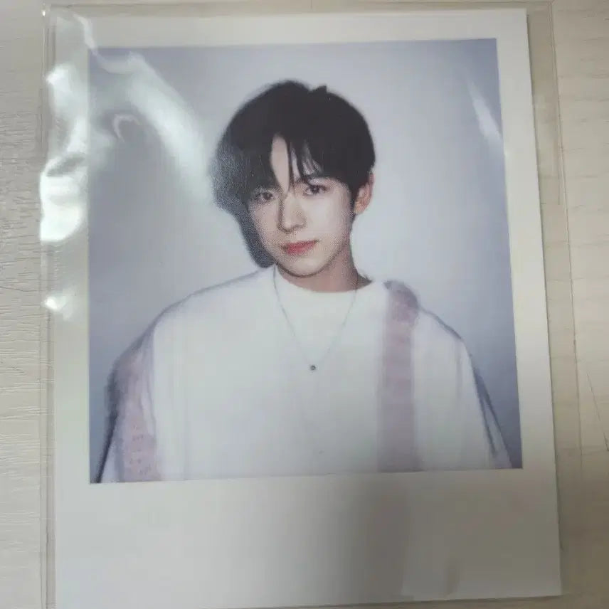 유우시 시그 랜덤폴라 (2024) 미개봉