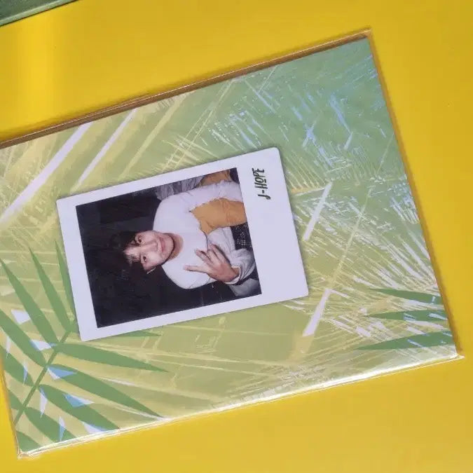 BTS 2017 썸머패키지 제이홉 호석