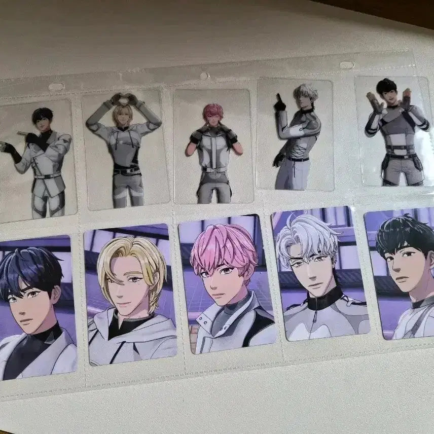 플레이브 칼리고 앨포 10장풀셋일괄