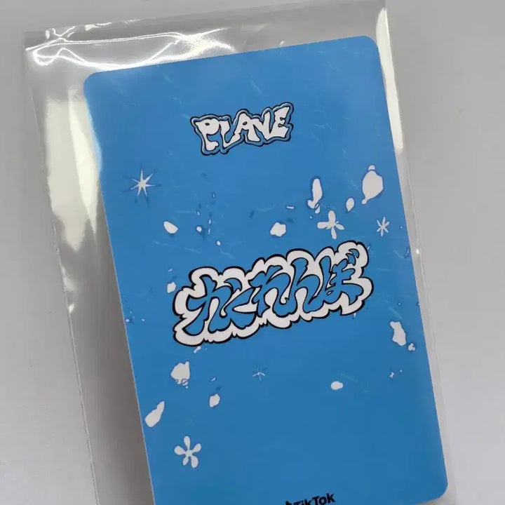 플레이브 틱톡 포카 예준