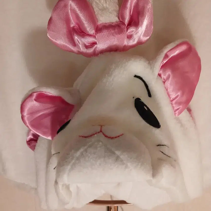 [BUNJANG] Disney Costume M Size / 디즈니 인형탈옷 M 사이즈