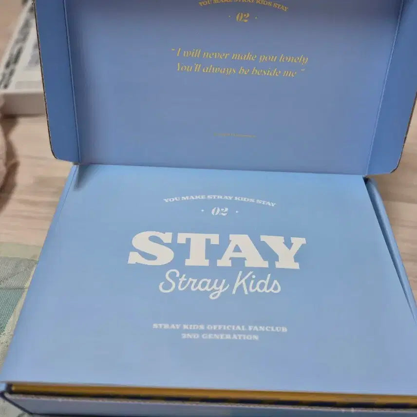 (풀박스) 스트레이키즈 스키즈 스테이 2기 키트