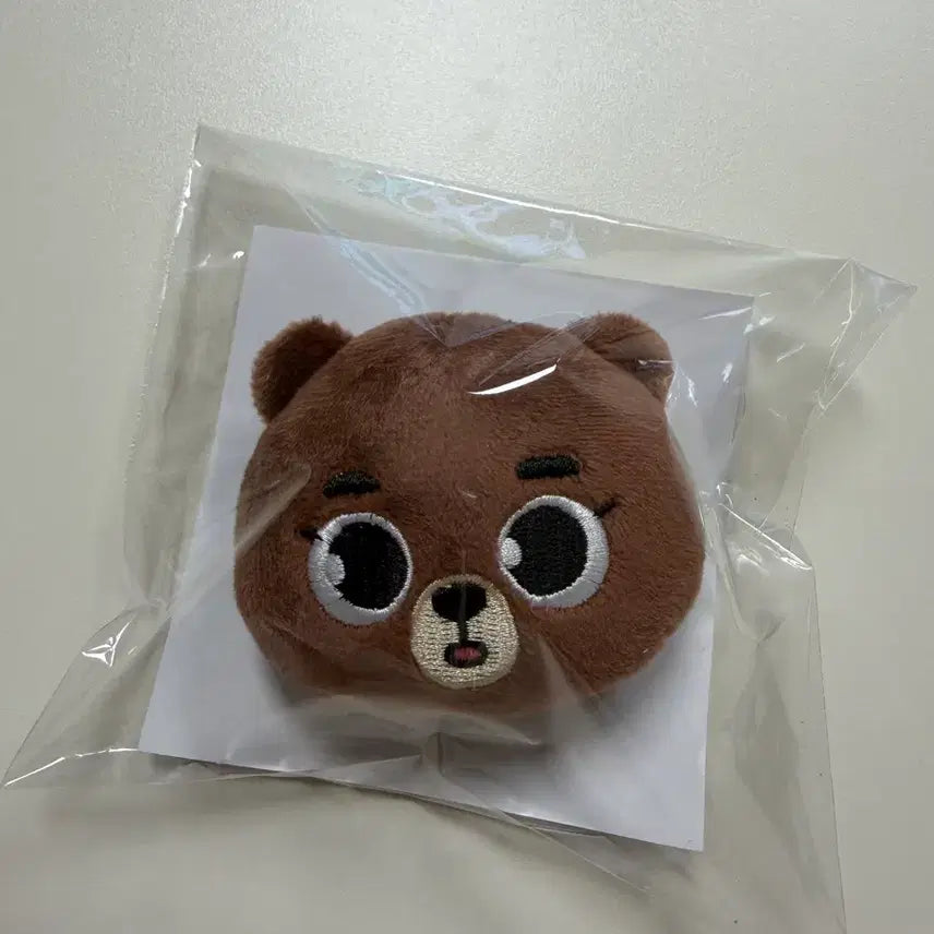 데이식스 일본엠디 뱃지 방