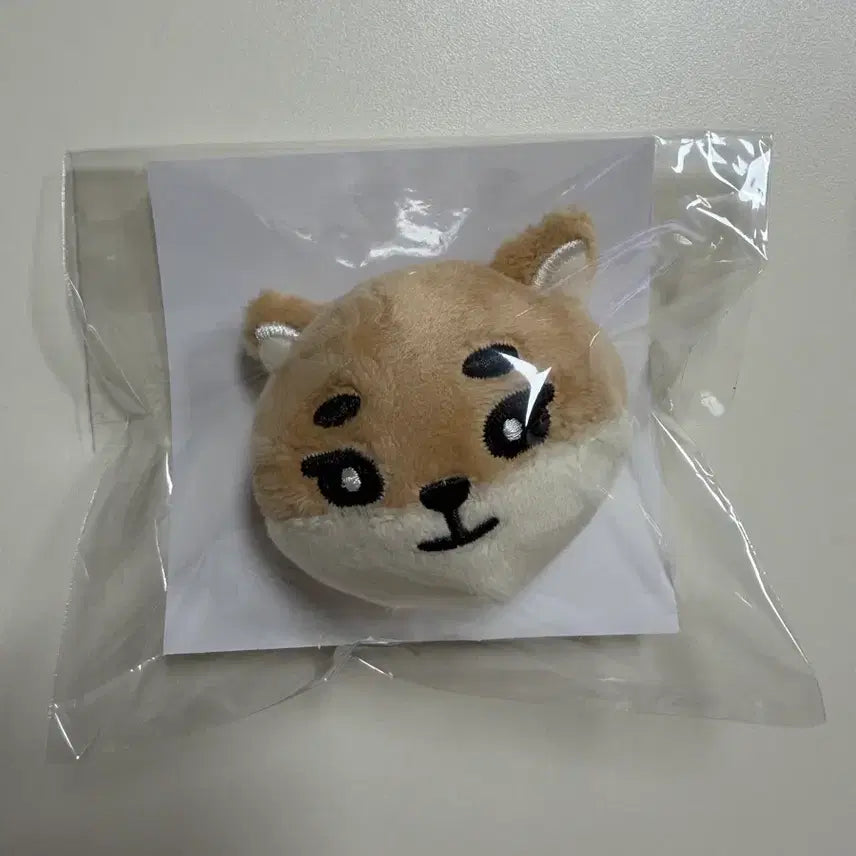 데이식스 일본엠디 뱃지 케