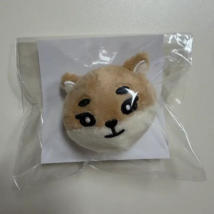 데이식스 일본엠디 뱃지 케