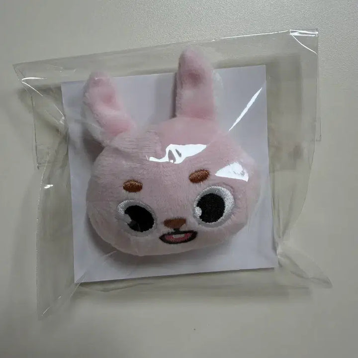 데이식스 일본엠디 필