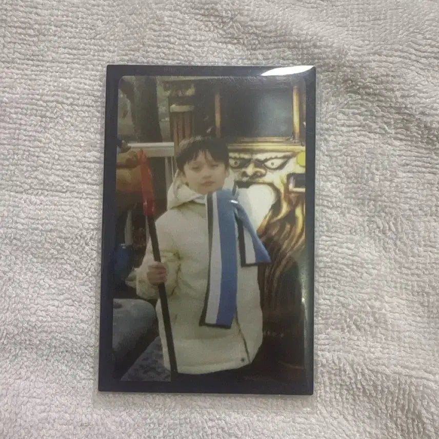 스키즈리노아기포카