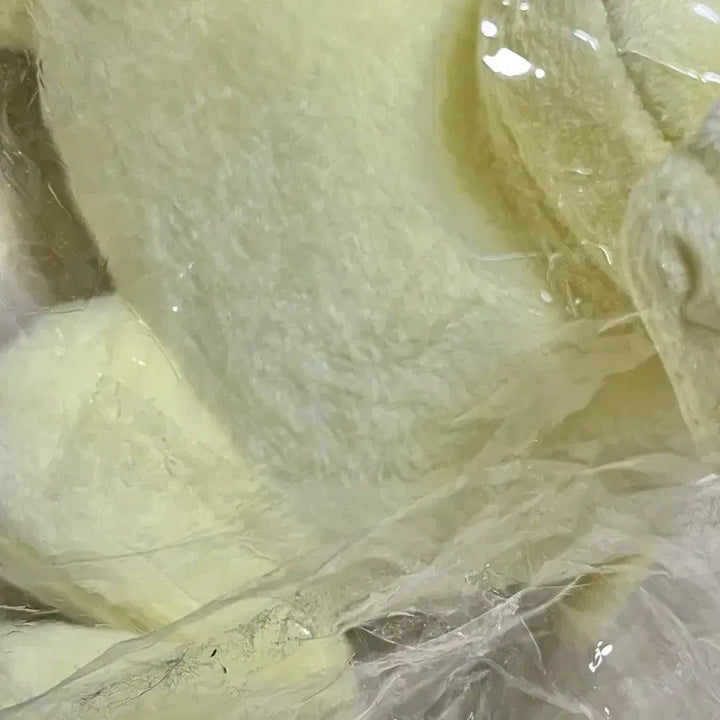 [BUNJANG] Kaiji Kaijiken Plush Doll (Sealed) / 카이지개 카이지견 누이구루미 (미개봉) 카이지