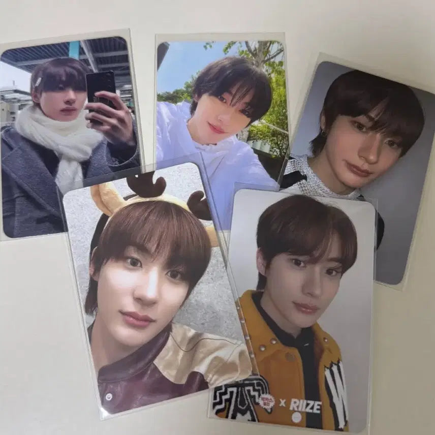 라이즈 앤톤 포카 양도 마뮤테 앨포 콘서트 대리 티켓팅