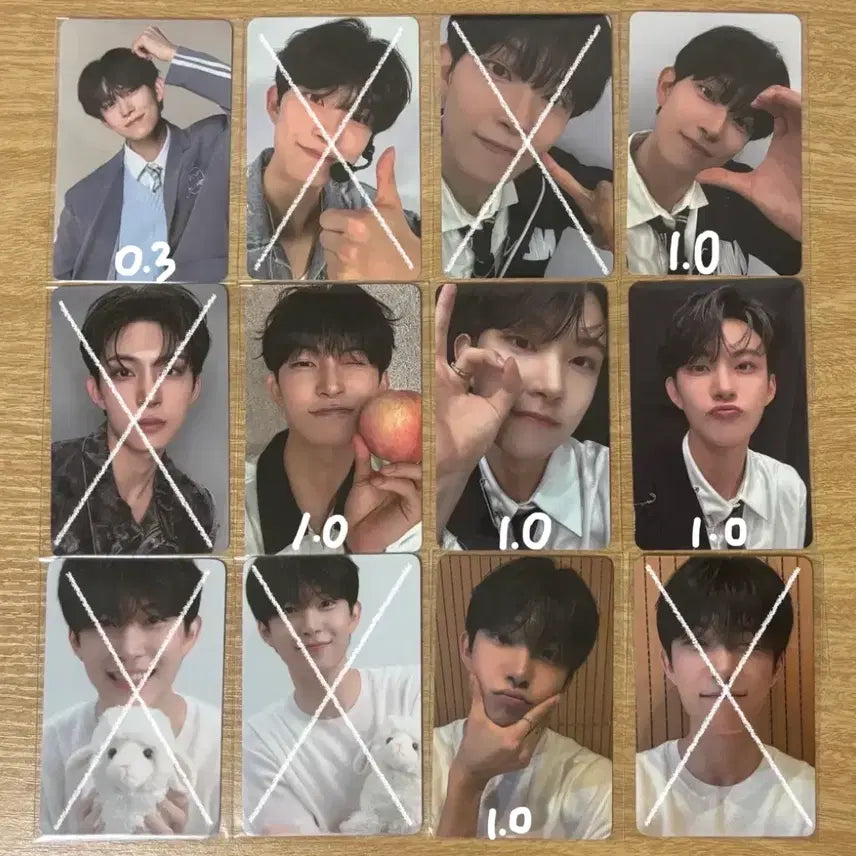 김건우 포카 양도 알디원 알파드라이브원