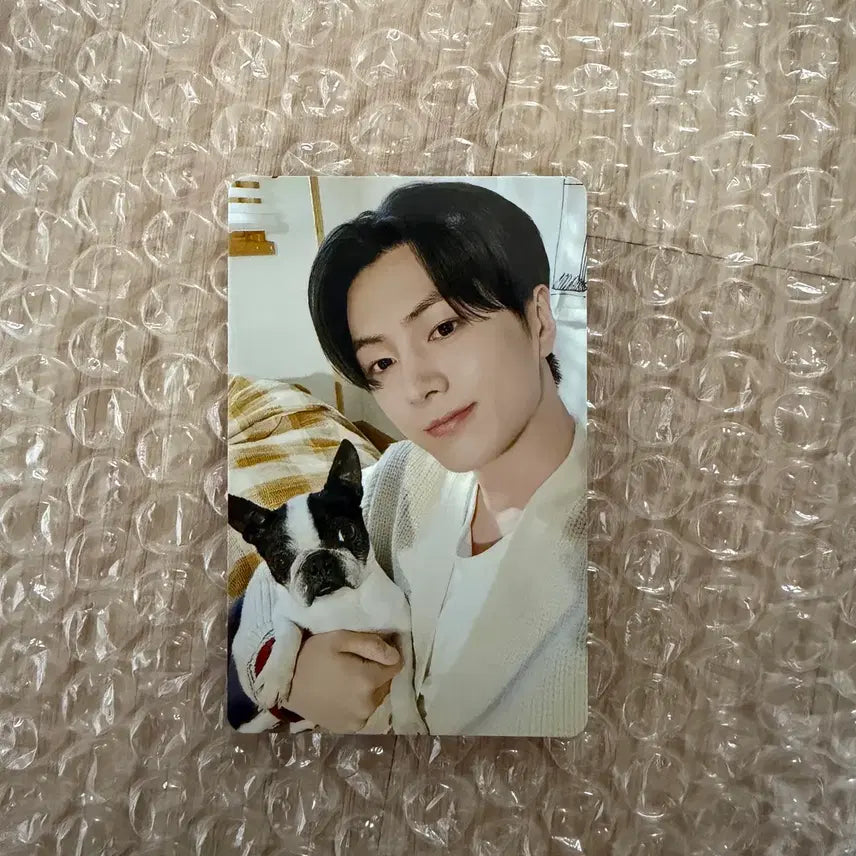 엔하이픈 제이 일본 멤버십 설문 특전 포카 판매