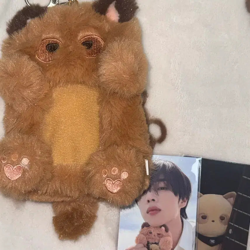 더보이즈 선우 제너2 떤굴이 포카홀더